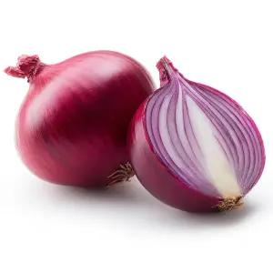 공상청 무안 자색양파 적양파3kg,5kg,10kg