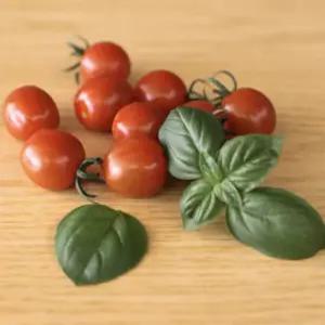 달달방토(대추방울토마토, 올인 ) 2kg(1kg*2팩) [원산지: 국산(경상북도 경주)