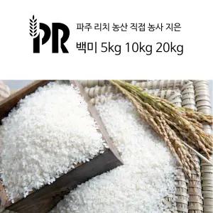 [경기 파주] 직접 농사지은 맛있는 백미 쌀 5kg 10kg,20kg