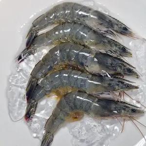 국산 새우철 생새우 흰다리새우 대하 1kg
