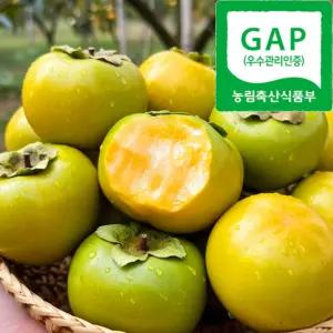 [프리미엄GAP인증] 초고당도 과즙가득 아삭한 태추단감 1~2kg