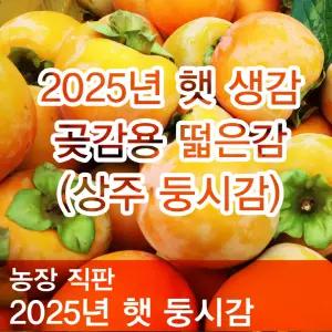 2025년 햇 상주 둥시감 곶감용감 대봉감 홍시 15kg-[농장직판]