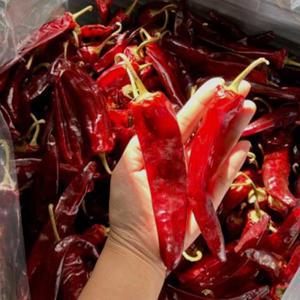 국내산 충북 음성 건고추 3kg 고춧가루용 김장용