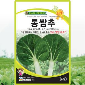 세계종묘 통쌈추 씨앗 50립 배추 양배추 교배종 통쌈추씨 종자