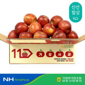 [농협/거창한조공] 거창 25년 햇 홍로사과 3kg 5kg 농협정품