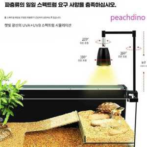 PINO 반수생거북이 애완거북이 반수생거북이어항