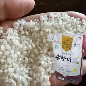 수향미 10kg 골든퀸 골드퀸 3호 밥맛좋은쌀
