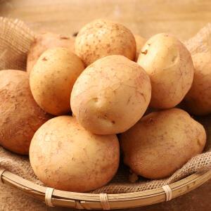 국내산 포슬포슬 담백한 햇감자 5kg(특)