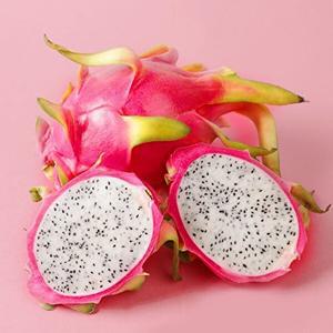 T_[스윗베러] 생 용과 5kg (8~10과)