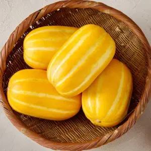 성주 꿀참외 10kg 가정용 랜덤과