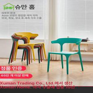 플라스틱 등받이 의자 라운지 레저 아크릴 미니멀