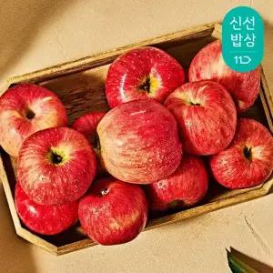 [품질보장]경북 햇 홍로사과 대과 5kg 15-19과내외