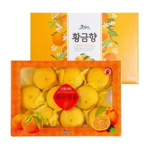 제철진미 제주 햇 황금향 선물세트 3kg (8-10과)