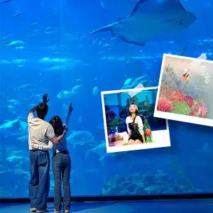 아쿠아플라넷 제주 입장권 & 늦은오후권 (25.09월)