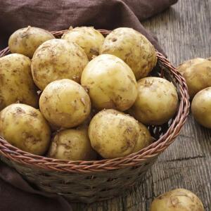 해남 수미감자 특 3kg