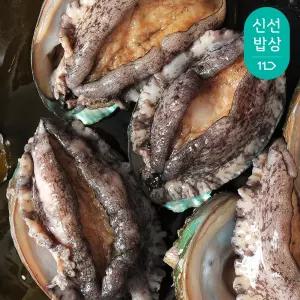[바다마을] 완도 참 전복 왕특대활전복 8~9미 1kg (산소포장)