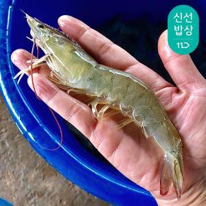 [제철] 국내산 흰다리새우 활 왕새우 1kg 32미 내외