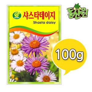 대용량 꽃씨 샤스타데이지씨앗 100g 조경용 꽃씨앗
