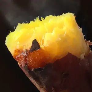 [농부마음] 숙성 꿀고구마 2kg(긴특/긴상)
