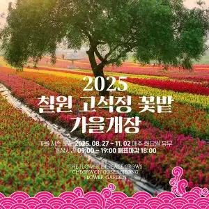 [강원] 철원 고석정꽃밭+한탄강 주상절리길/하늘다리+포천 비둘기낭폭포 가을 당일여행 / 서울경기出