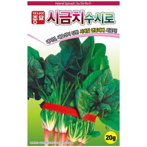 [모종심는아빠] 내서성 내습성이 강한 사계절 연중재배 시금치 수시로 씨앗 20g