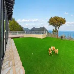 [전남 펜션] 여수 스테이멍애견스파펜션 (여수)