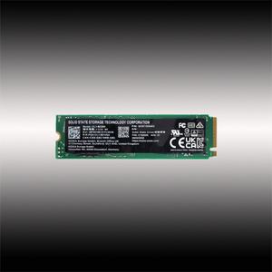 CL1-8D256 NVMe SSD 256GB 벌크 80mm(나사)