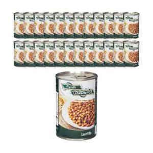 CJ프레시웨이 직수입 롱고바디 렌틸스 400g x 24