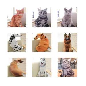 [아우트]강아지 고양이쿠션 포인트 동물 3D