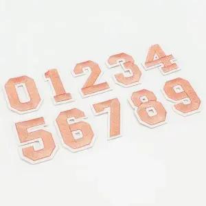 고품질 자수 패션소품 DIY 와펜 패치 의류 숫자 코 (WFJV29G)