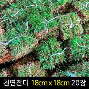 토종 천연잔디 18cm x 18cm 20장 산소 정원 잔디