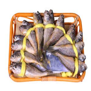 영광 법성포굴비 20미(길이:19cm)(무게:2.1kg)
