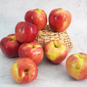 [더조은푸드] 제철사과 경북 햇 홍로 사과 (정품) 5kg