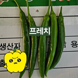 프레치 국내산 롱그린 고추 3kg