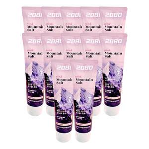 2080 히말라야 퓨어 솔트 핑크민트 치약 마일드 민트 120g 12개