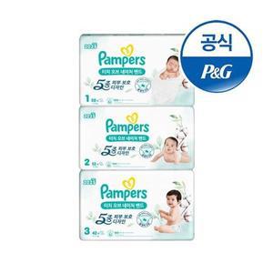 [팸퍼스] 2025 터치오브네이처 밴드형 기저귀 1~3단계 3팩 (총 1박스)