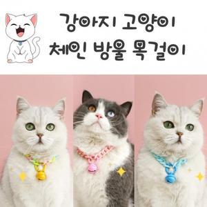 [사러왕]고양이 방울 목걸이 강아지 방울목걸이 반려묘 펜던트 켓 네임택 애완용품 악세사리 인식표