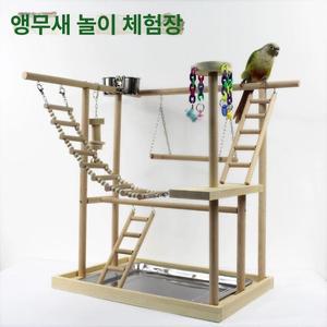 앵무새 놀이터 코뉴어 사랑앵무 D타입 새집 훈련