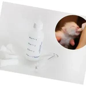 고양이 분유 및 강아지 젖병 애완동물 식사 도구 (WFJC6RQ)