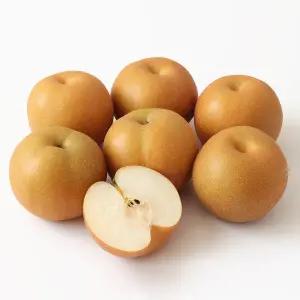산지직송 25년 가정용 햇 배 3kg 중소과 (8-9과)