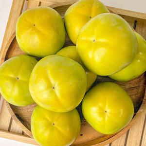 아삭아삭 고당도 태추단감 배단감 2kg 3kg
