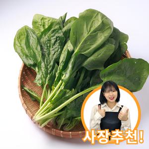 남해 노지 시금치 500g