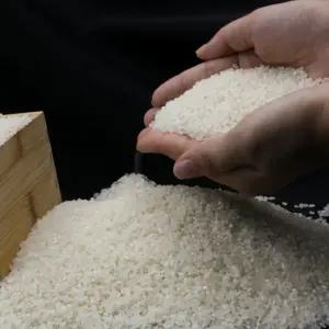 KM 25년 햅쌀 산지직송 김포금쌀