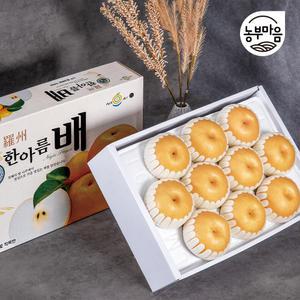 [장터할매]고급 나주배 설 명절 과일선물세트 5kg 7.5kg