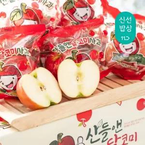 [세척사과 국내리뷰수1위!] 당도선별 고당도! 프리미엄 산들앤 달코미 세척 꼬마사과 3kg (18~22과)