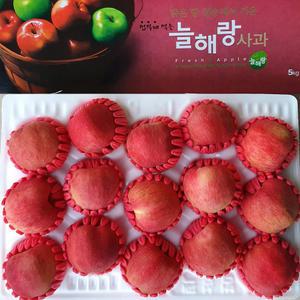 청송 얼음골 꿀사과 선물세트 5kg(15-16과)
