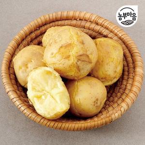 [25년 국내산 햇감자] 포슬포슬 햇감자 3kg 5kg 10kg