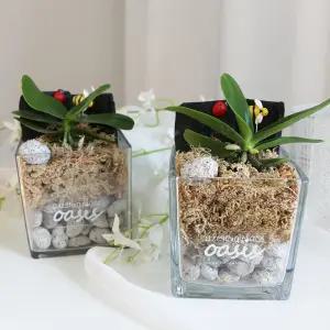 풍난테라리움 DIY 원예 체험 실내 정원 꾸미기