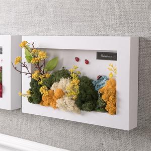스칸디아모스 공기정화식물 액자 산수유 Bset 30cm 2컬러 인테리어 천연 이끼 벽장식 소품 플랜테리어 현관