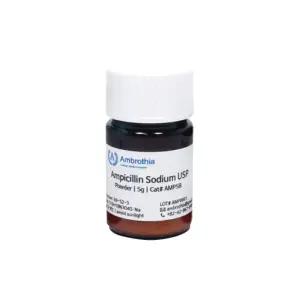 AMP5B 암브로티아 미생물 실험 Ampicillin Sodium 5g 암피실린 파우더 과학 연구 페니실린 시약 Powder
